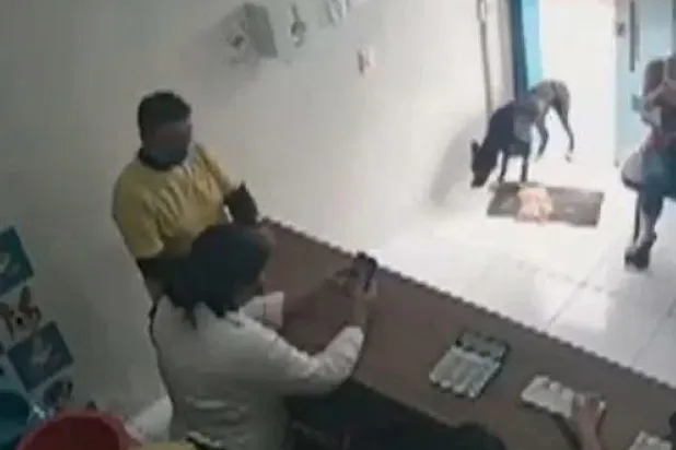 شاهد... كلب ضال مصاب بالسرطان يذهب بمفرده إلى عيادة بيطرية في البرازيل