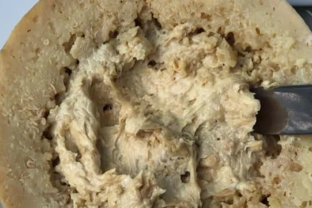 يحتوي على يرقات حية... تعرف على أخطر جبن في العالم