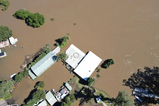 تحذير من «آفة» عناكب مميتة بعد فيضانات سيدني