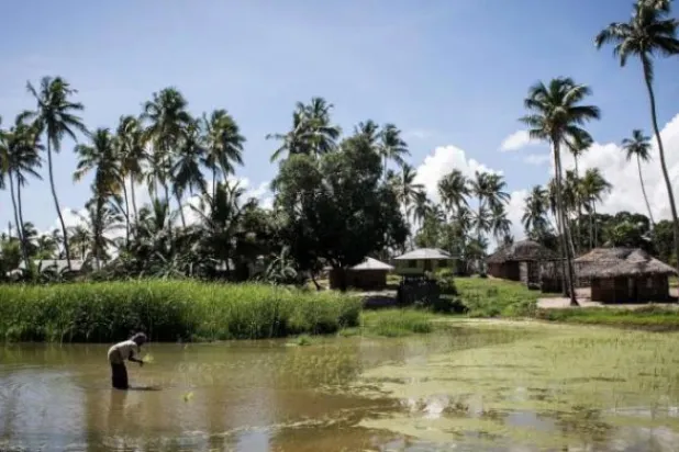 «داعش» يعلن السيطرة على مدينة ساحلية في موزمبيق
