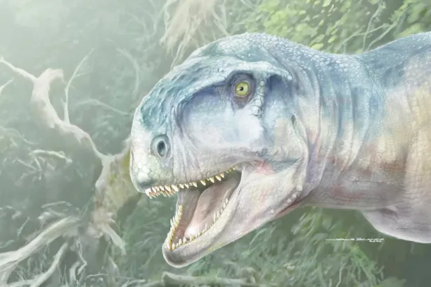 الكشف عن جمجمة ديناصور مفترس عاش قبل 85 مليون سنة