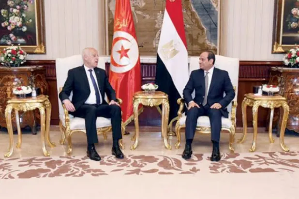 علاقائی اور بین الاقوامی امور پر تبادلۂ خیال کرنے لئے مصر اور تیونس کے درمیان ایک سربراہی اجلاس