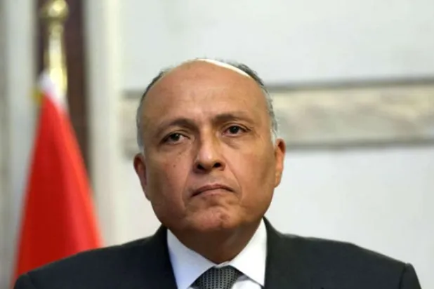 Egypt Appreciates Turkey’s Efforts to Repair Relations