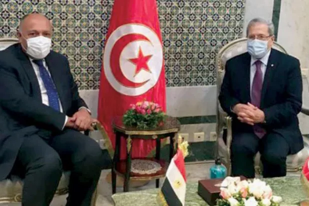 Egypt Seeks Multilateral Int’l Mediation to Resolve GERD Dispute  