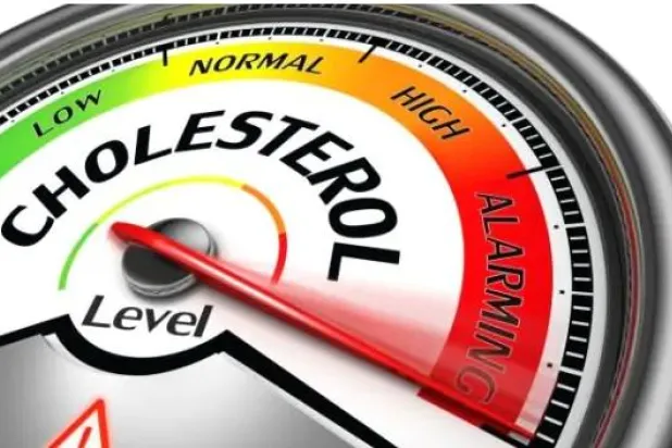 هل تشكل الأطعمة الغنية بالكولسترول خطراً كبيراً على صحتك؟