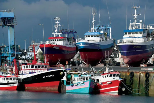 حرب الأسماك تتأجج مجدداً بين فرنسا وبريطانيا