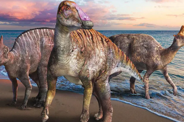 جنس جديد من «ديناصور منقار البط» في اليابان