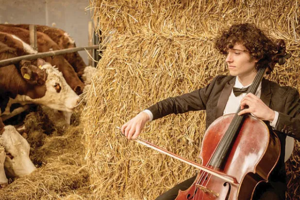 يوهانس غراي يحب عزف الموسيقى للأبقار (نيويورك تايمز)