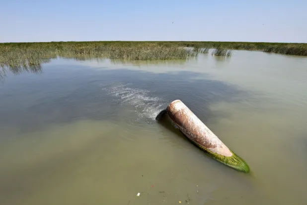 خطر فاضلاب، تالاب‌های تاریخی بین‌النهرین را تهدید می‌کند