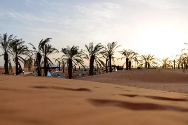 «الشرق الأوسط الأخضر»... استثمار في الطبيعة لا مجرد حملة ضخمة لزراعة الأشجار