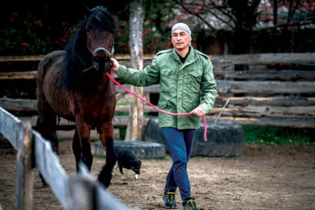 منقذ للخيول في صربيا يعاني حساسية منها