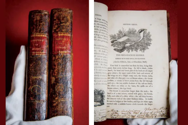 الكتاب مليء بالتعليقات التوضيحية التي كتبها والد أسرة برونتي (دار سوذبيز) - نسخة من كتاب عالم التاريخ الطبيعي «تاريخ الطيور في بريطانيا» (دار سوذبيز)