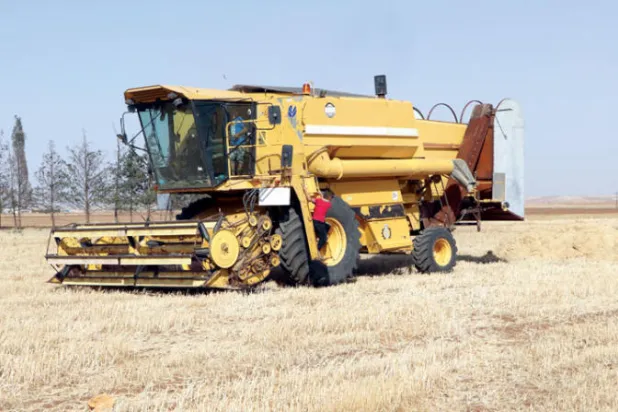 قلق في سوريا من أزمة طحين مع بدء الحكومة شراء القمح