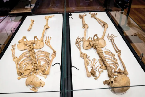 لم شمل قريبين من «الفايكينغ» بعد ألف عام في متحف دنماركي