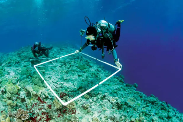 شراكة بين «مؤسسة خالد بن سلطان» و«ناسا» لحفظ حياة المحيطات