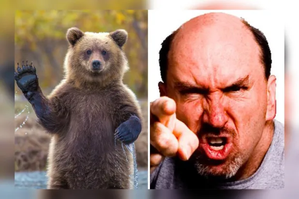 Psikiyatrist Nevzat Tarhan gündeme getirdi… Şiddeti yöntem olarak benimseyenlerde "ayı geni" mi etkili? Ayı geni nedir, en çok kimlerde görülür?