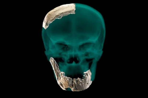 اكتشاف جنس بشري جديد من حقبة ما قبل التاريخ