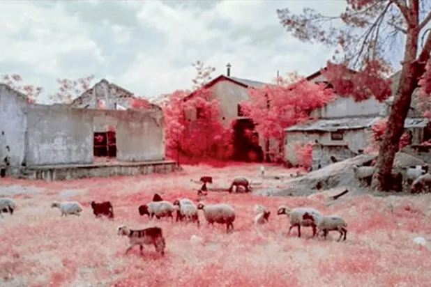 «بيروت المحطة الأخيرة» من الأفلام اللبنانية المشاركة في «شاشات الواقع» 2021