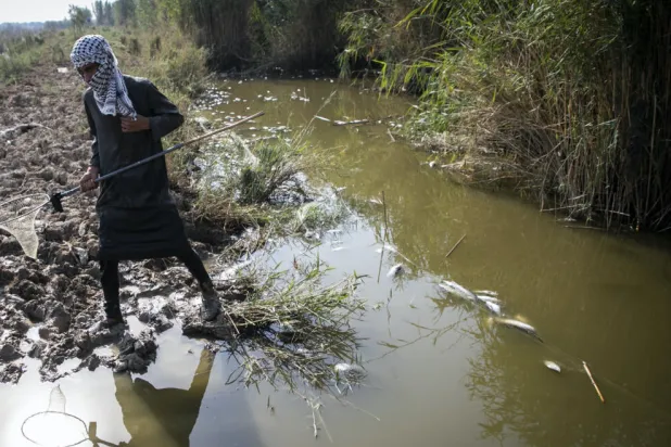 عكس از ايرنا