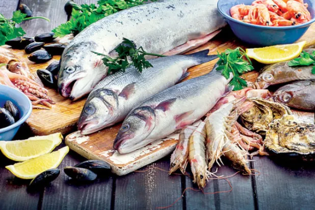 ألف باء قلي السمك في المنزل