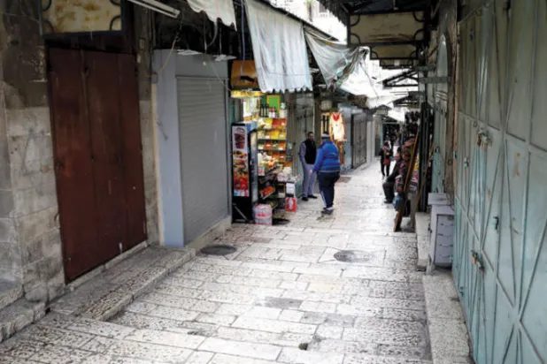 «إيسيسكو» تصادق على 9 مشاريع تربوية وثقافية لصالح فلسطين