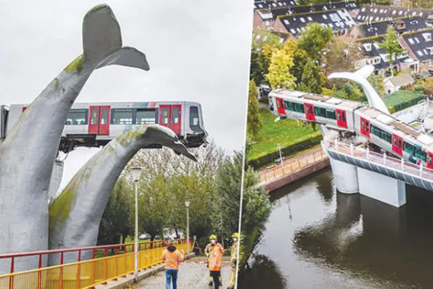 السرعة وراء حادثة قطار استقر عند مجسم ذيل حوت في هولندا