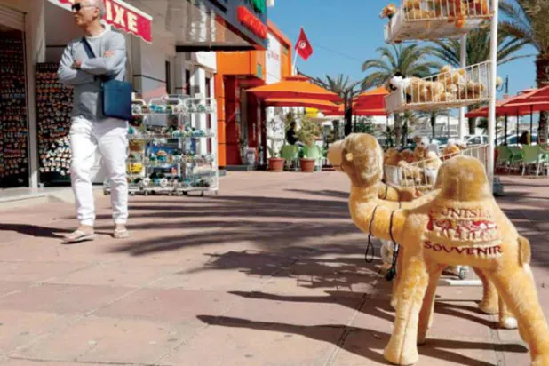 تونس تحشد دعماً دولياً لملف صندوق النقد