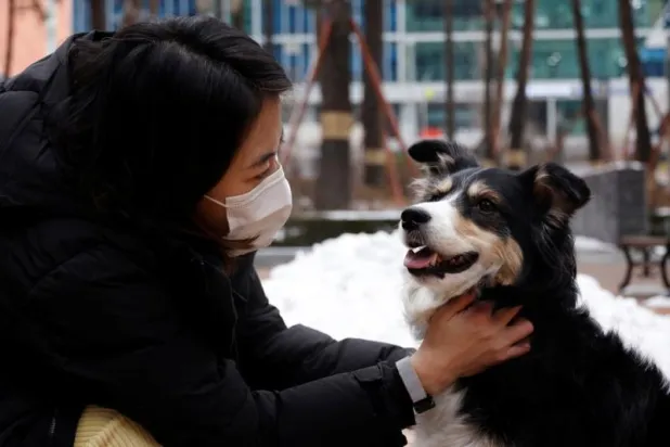 «اللعب مع الكلاب»... وظيفة في شركة بريطانية براتب 32 ألف دولار سنوياً