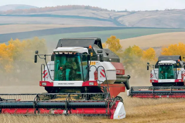 مواجهة التضخم الروسي تربك أسواق القمح العالمي