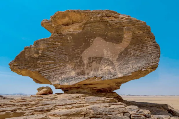 سادس موقع سعودي على قائمة «يونيسكو»