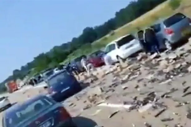 سائقون يتهافتون على كبسولات قهوة سقطت من شاحنة على طريق سريع