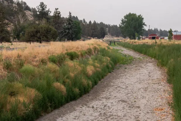 هل هو الانقراض الجماعي السادس؟