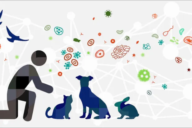 جينات القطط... الأقرب إلى الجينوم البشري