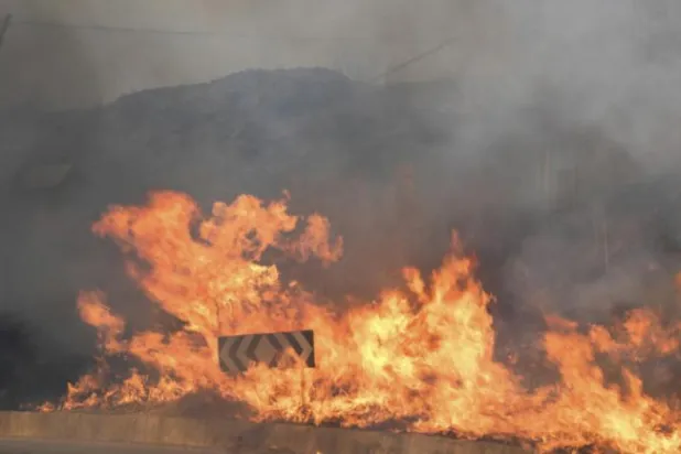 Akdeniz’deki yangınlar neden çıkıyor?