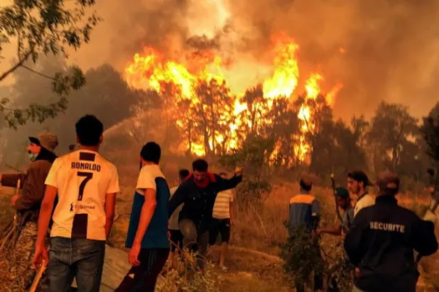 Cezayir’de yangın çıkarmakla suçlanan gencin öldürülerek ateşe verilmesi şok etkisi yarattı