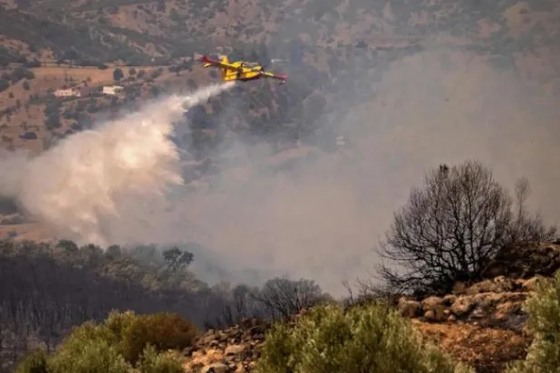 Fas’ın kuzeyindeki orman yangını azaldı