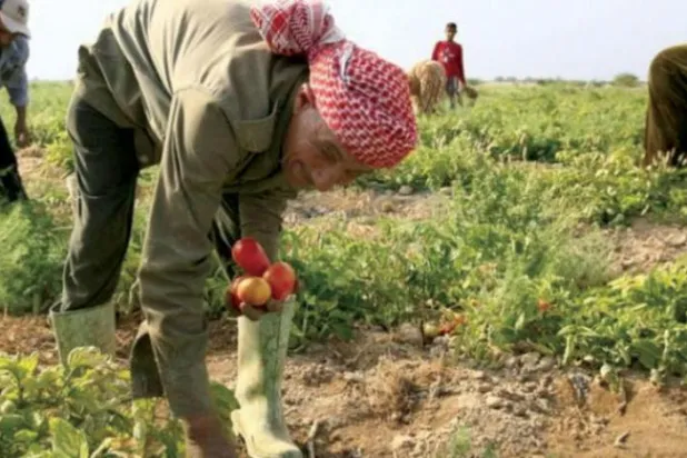 İsrailli çiftçiler, İsrail ve Ürdün hükümetleri arasında imzalanan ve Ürdün tarım ürünlerinin Tel Aviv'e ithal edilmesini öngören anlaşmayı protesto etti