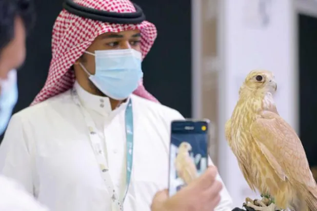  حراج بین المللی مزارع تولید شاهین در سعودی