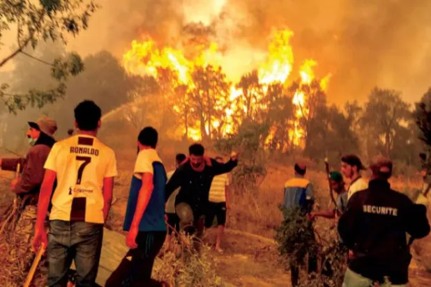 Cezayir, Sahel ve Sahra Altı ülkelerinde terörizmin artmasından korkuyor