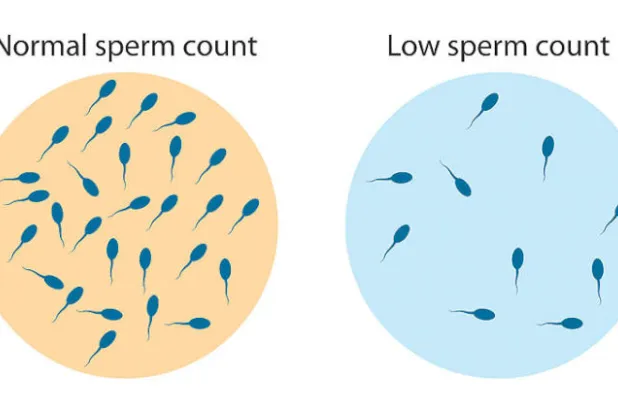 السموم البيئية قد تسبب ضعفاً في خصوبة الرجال