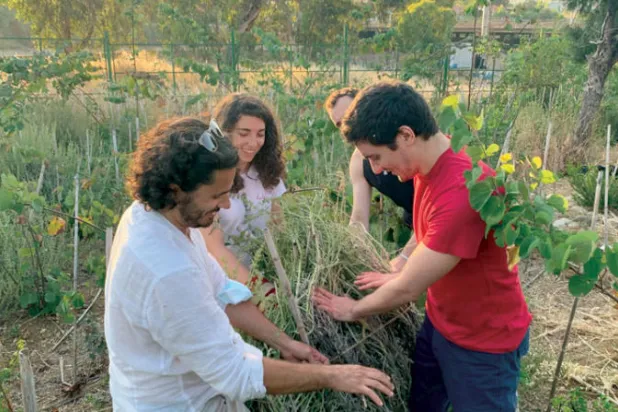 غابة بيروت في «سن الفيل»... «ملاذ» للفنانين