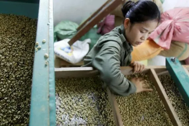 مخاوف بشأن الإمدادات العالمية من القهوة بسبب الإغلاق في فيتنام