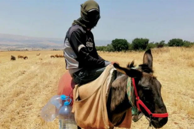 Akaryakıt krizi, Lübnan'ın doğusundaki eşek pazarını canlandırdı