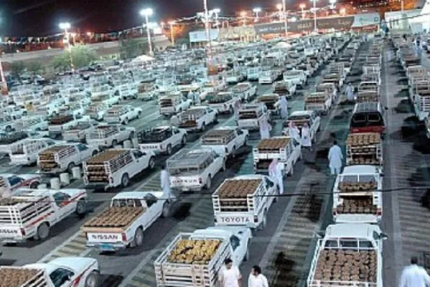 تسجيل صادرات تاريخية من التمور السعودية