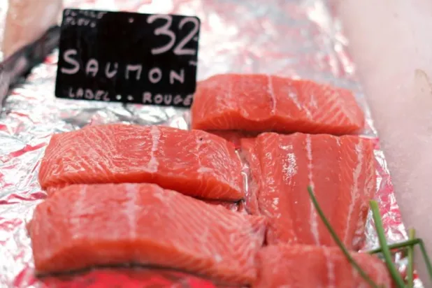 التونة أم السلمون... ما هي الأسماك الأفضل لصحتك؟