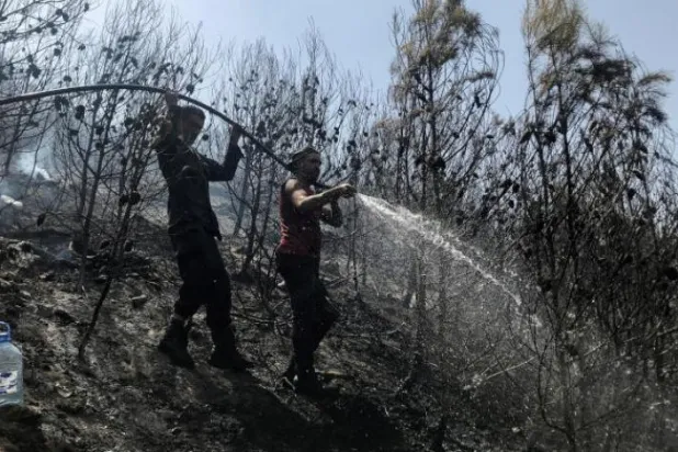 Cezayir’de orman yangını çıkardıkları gerekçesiyle 30 kişi gözaltına alındı