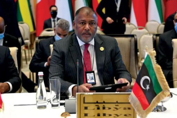 لیبیا کے وزیر: بتدریج انتخابات ممکن ہیں