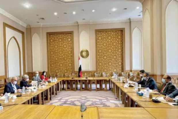 Egypt, Italy Discuss GERD Developments 