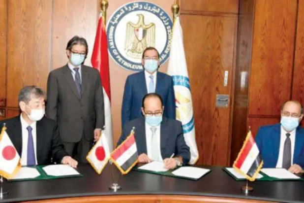 Egypt Seeks to Produce Blue Ammonia