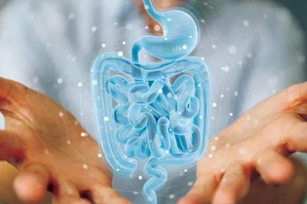 «الأمعاء الالتهابي»... وسائل التكيّف معه